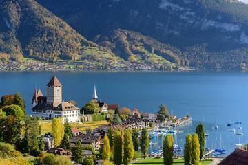 Beautiful landscape of lake Thun in Switzerland during autumn season from Spiez train station - obrazy, fototapety, plakaty