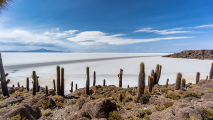 Incahuasi island, Uyuni Saline Salar de Uyuni, Aitiplano, Bolivia