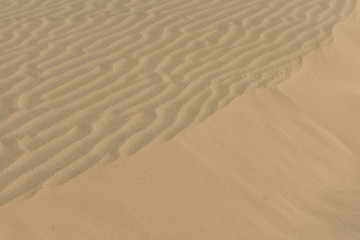 sam sand dunes in thar desert jaisalmer rajasthan india