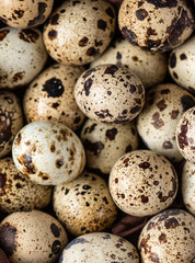Quail eggs. Food background