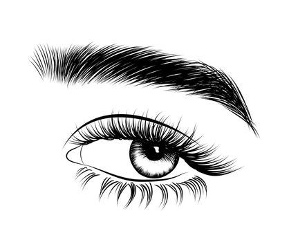 Hand-drawn woman's fresh luxurious eye with perfectly shaped eyebrows and full lashes. Idea for business visit card, typography vector. Perfect salon look.