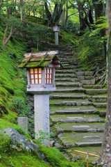 Fototapeta premium Japanese garden