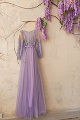 Fototapeta na wymiar Beautiful lilac or violet fluffy dress is hanging on the wall with climbing blooming Wisteria.