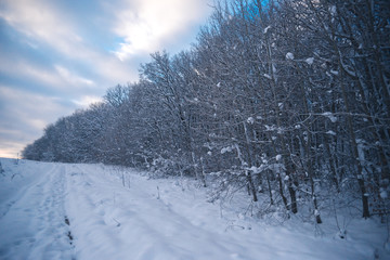 Evening snowy landscape in the countryside outside the city.