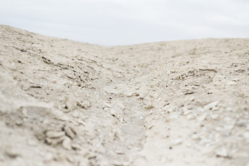 dry desert