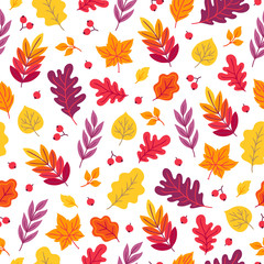 Seamless pattern with oak, maple, rowan leaves and berries
