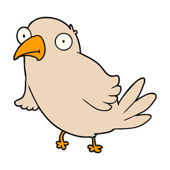 cartoon bird