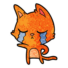 crying cartoon cat pointing