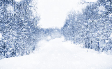 Landscape in the winter day