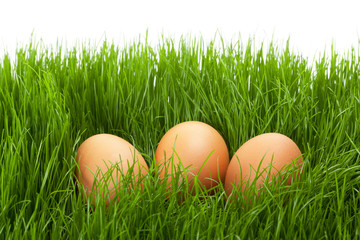 Easter eggs in the grass