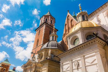 Fototapeta premium Castello del Wavel a Cracovia