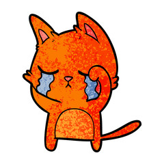 crying cartoon cat