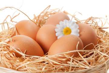 Brown eggs at hay in the basket on white