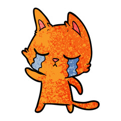 crying cartoon cat pointing