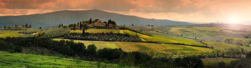 Beautiful Tuscan landscape at sunset with olive trees, cypress and vineyards near Castellina in...