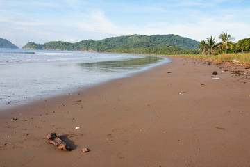 Landschaft und Tieraufnahmen in Costarica