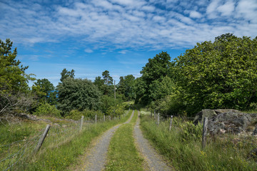 Fototapeta na wymiar Small road in the Swedish countryside, leading to a farm