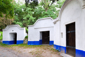 historical vault vine cellar in Plze, Petrov village, Southern Moravia, Czech republic. 