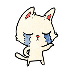 crying cartoon cat