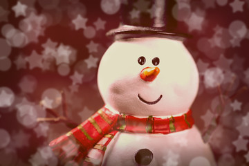 Christmas and New Year celebration