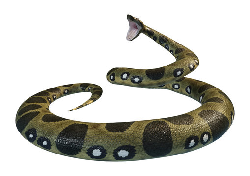 3D Rendering Green Anaconda on White