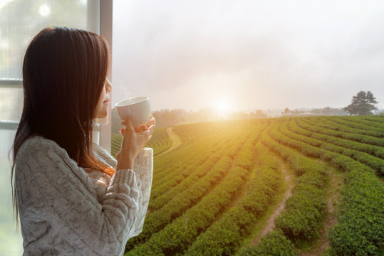 Asian woman fresh morning drinking hot tea and looking out of the window for see Tea Plantation and farm on sunny day. Copy Space.  Lifestyle Concept.