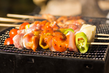 BBQ grilled in a grille , seasoned with seasoning. Use as a food concept.