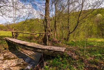 wooden bridge through forest stream. beautiful nature scenery in springtime