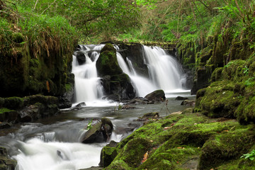 Beautiful waterfall of Clare Glens, Ireland