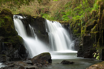 Fototapeta na wymiar Beautiful waterfall of Clare Glens, Ireland