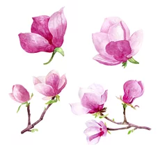 Papier Peint photo Magnolia Fleurs de Magnolia aquarelle peinte à la main clip art illustration florale invitations de mariage merci cartes calendriers