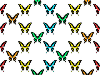 seamless pattern, butterflies of all colors of the rainbow