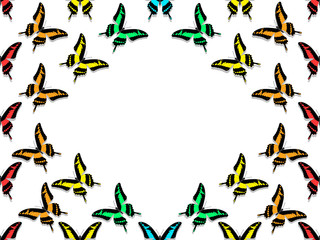 seamless pattern, butterflies of all colors of the rainbow