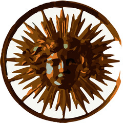 The star of Louis XIV the sun king