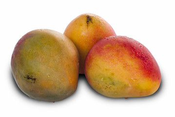 Mango fruit  on the white background. Guatemala. Tommy Atkins