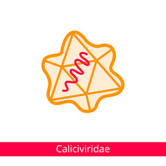 Caliciviridae. Classification of viruses. Vector biology icons, medical virus icons.