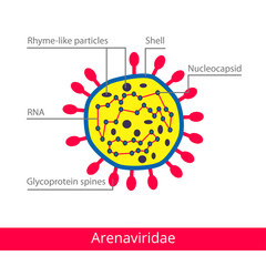 Arenaviridae. Classification of viruses. Vector biology icons, medical virus icons.