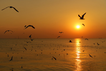 Plakat Group of silhouette seagulls flying over the sea on twilight sky at sunset