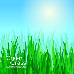 Green grass vector background