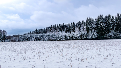 Winterlandschaft