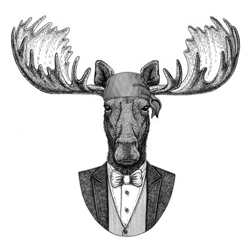 Moose, elk Wild biker, pirate animal wearing bandana Hand drawn image for tattoo, emblem, badge, logo, patch, t-shirt