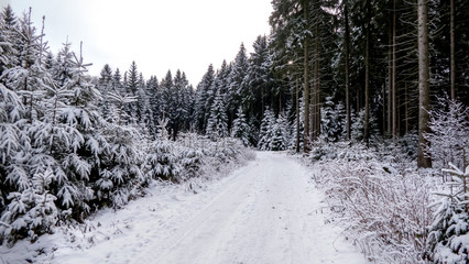 Winterlandschaft