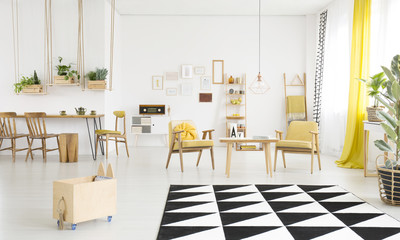 Spacious living room interior