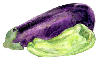 Eggplant bell pepper hand painted watercolor illustration fruits and vegetables collection  food 