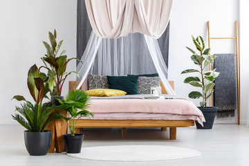 Plants in pastel bedroom interior