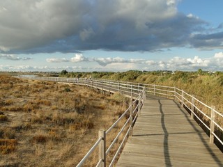 Fototapeta premium Beach path
