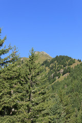 Fototapeta na wymiar Mountain Mutspitze in the Texel Group in South Tyrol