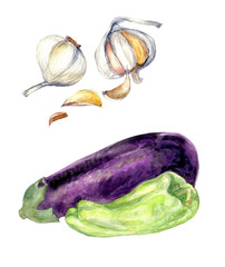 Garlic eggplant bell pepper watercolor clip art food fruit and vegetable collection harvest fall seasonal 