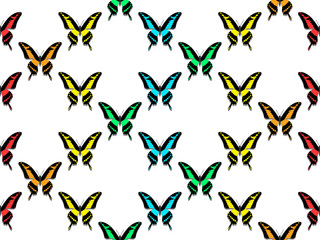 seamless pattern, butterflies of all colors of the rainbow