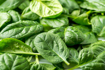 spinach on white background